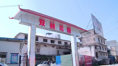 市區(qū)垃圾堆積與污水橫流問題亟待整改