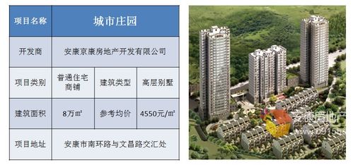 項目管理必修課 房地產公司商住項目前期策劃提案